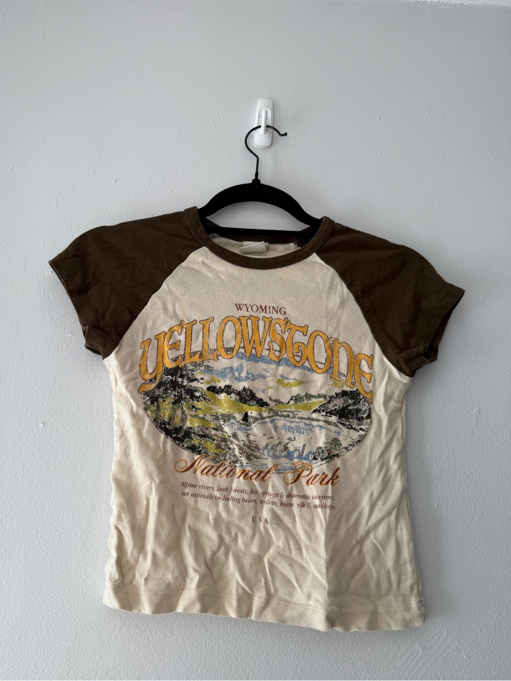Urban Outfitters Yellowstone Raglan Baby Tee